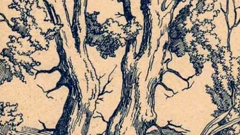 Iluzie optică virală | Ești un geniu dacă poți identifica 3 chipuri umane în această fotografie