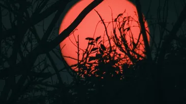 Cele 3 zodii date peste cap total de Luna Căpșunilor, din 11 iunie. Schimbări radicale