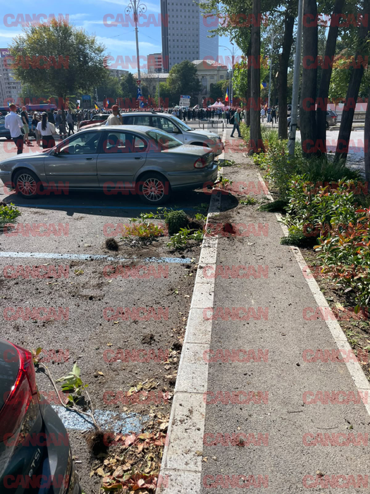 Haos în Piața Victoriei! Jandarmii au intervenit de urgență, iar Guvernul face apel la calm