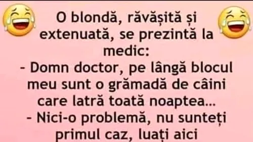 BANC | Doctore, lângă blocul meu sunt mulți câini, care latră toată noaptea