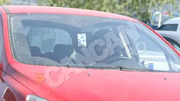 Anca Turcasiu are acum imagine de adolescenta