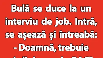 BANC | Bulă, interviul de job și diploma de BAC