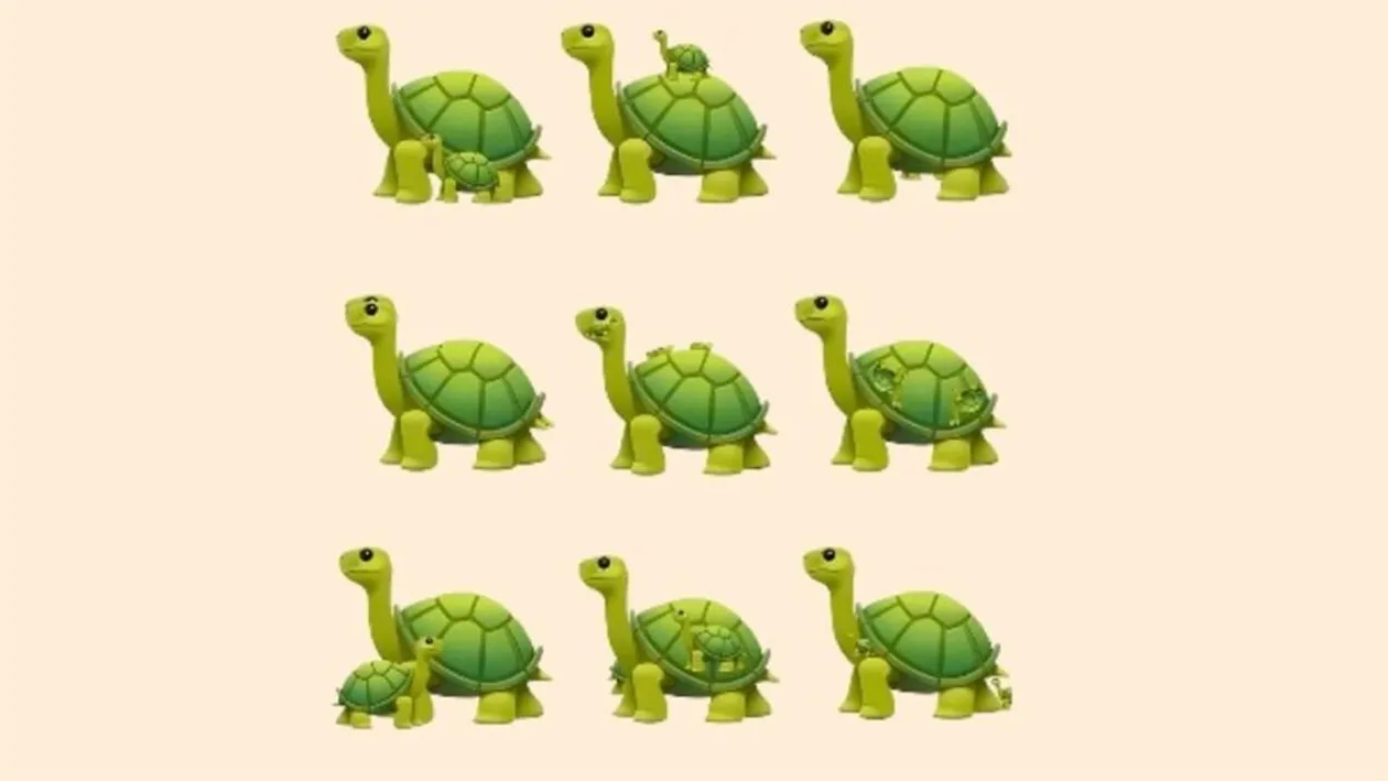 TEST IQ | Câte broaște țestoase sunt, de fapt, în această imagine?