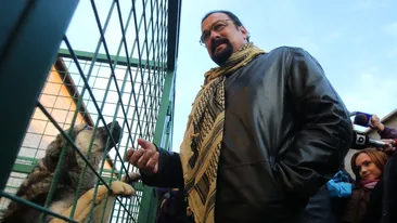 Steven Seagal a adoptat un maidanez din Bucuresti. Grivei l-a cucerit definitiv pe celebrul actor! Uite cum va avea grija de el!