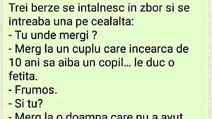 BANC| 3 berze se întâlnesc în zbor și se întreabă una pe cealaltă: "Tu unde mergi?"