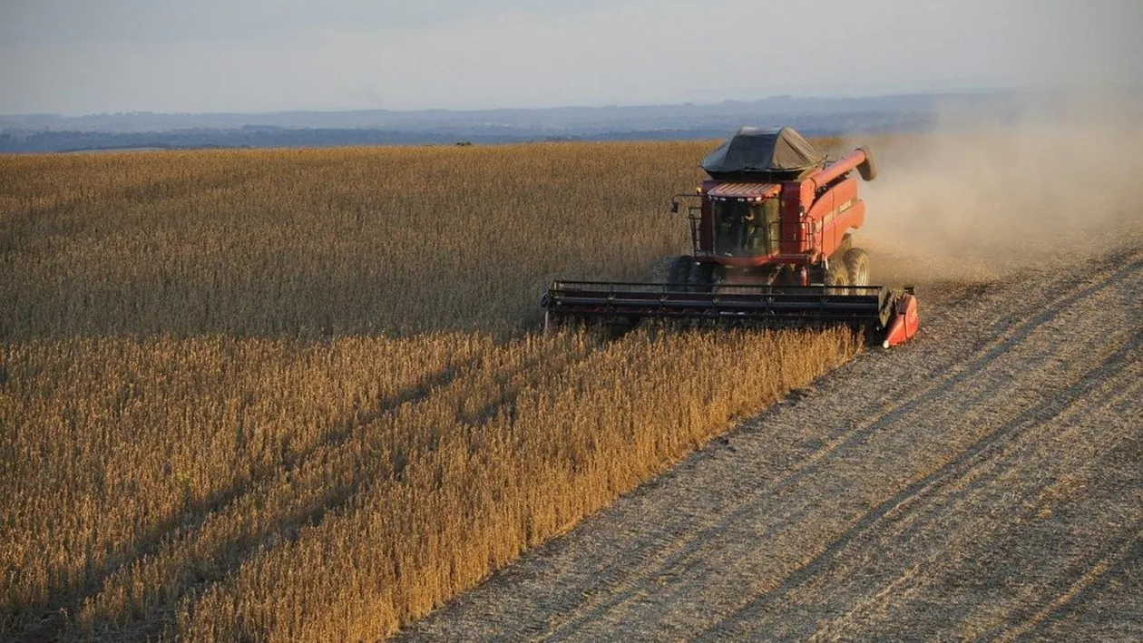 Avertisment: ”E iminentă o criză alimentară în România!” PSD solicită Guvernului să declare stare de calamitate naturală