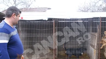 Un jandarm si-a deschis mini-pensiune pentru caini