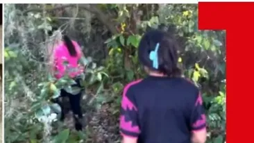 O fetiță nou-născută a fost găsită abandonată într-o pădure. ,,A fost lăsată într-o stare extrem de vulnerabilă”