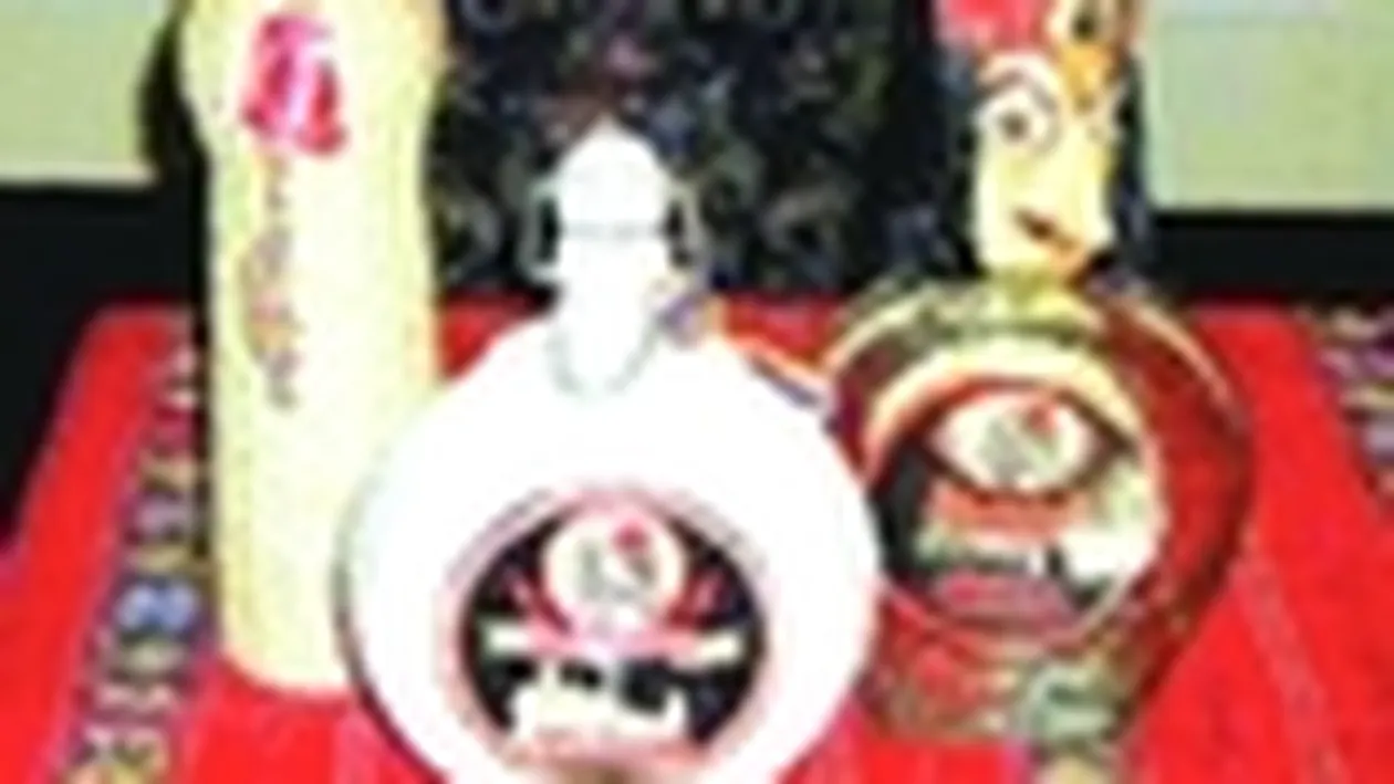 Palinca si vin la Externe