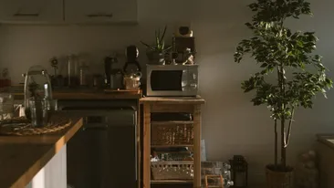 Mituri despre cuptoarele cu microunde - adevărate sau false?