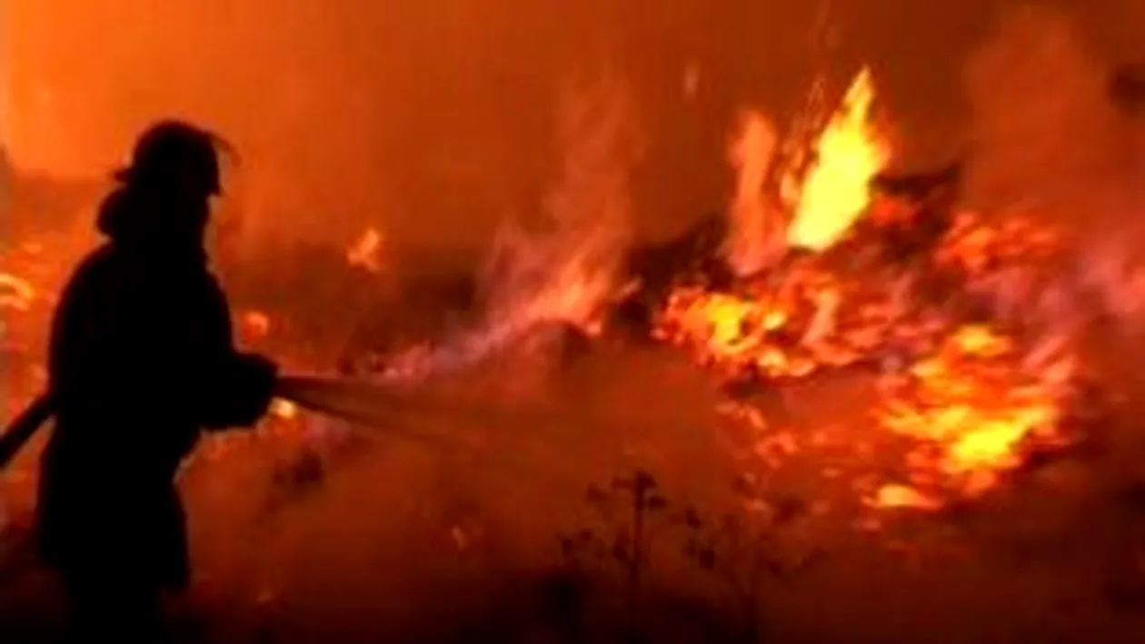 Incendiu devastator la hala unei fabrici din Baia Mare