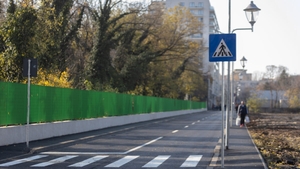 O femeie a devenit virală pe internet, după ce a depus plângere că n-a primit prioritate la o trece de pietoni. Ce i-au răspuns polițiștii