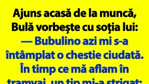 BANC | Bulă și străinul din tramvai