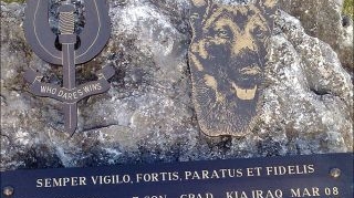 Britanicii venereaza doi caini care au murit in Irak