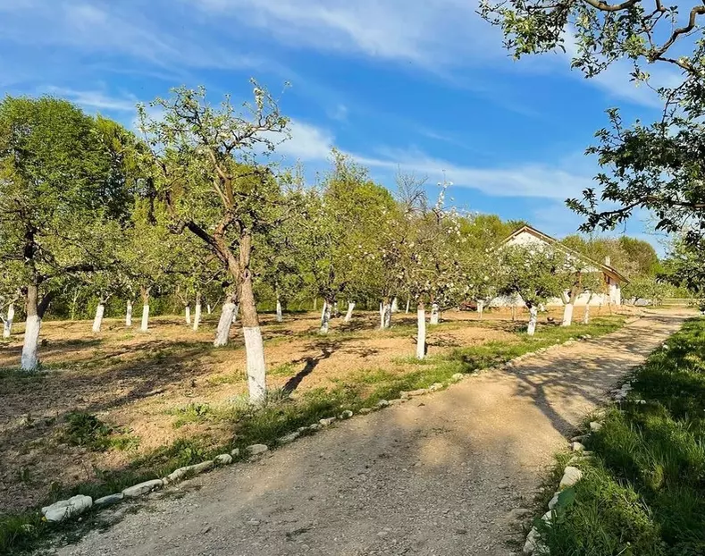 Cum arată casa de la „ţară” a Danei Nălbaru? Are prispă şi lămpi solare. FOTO