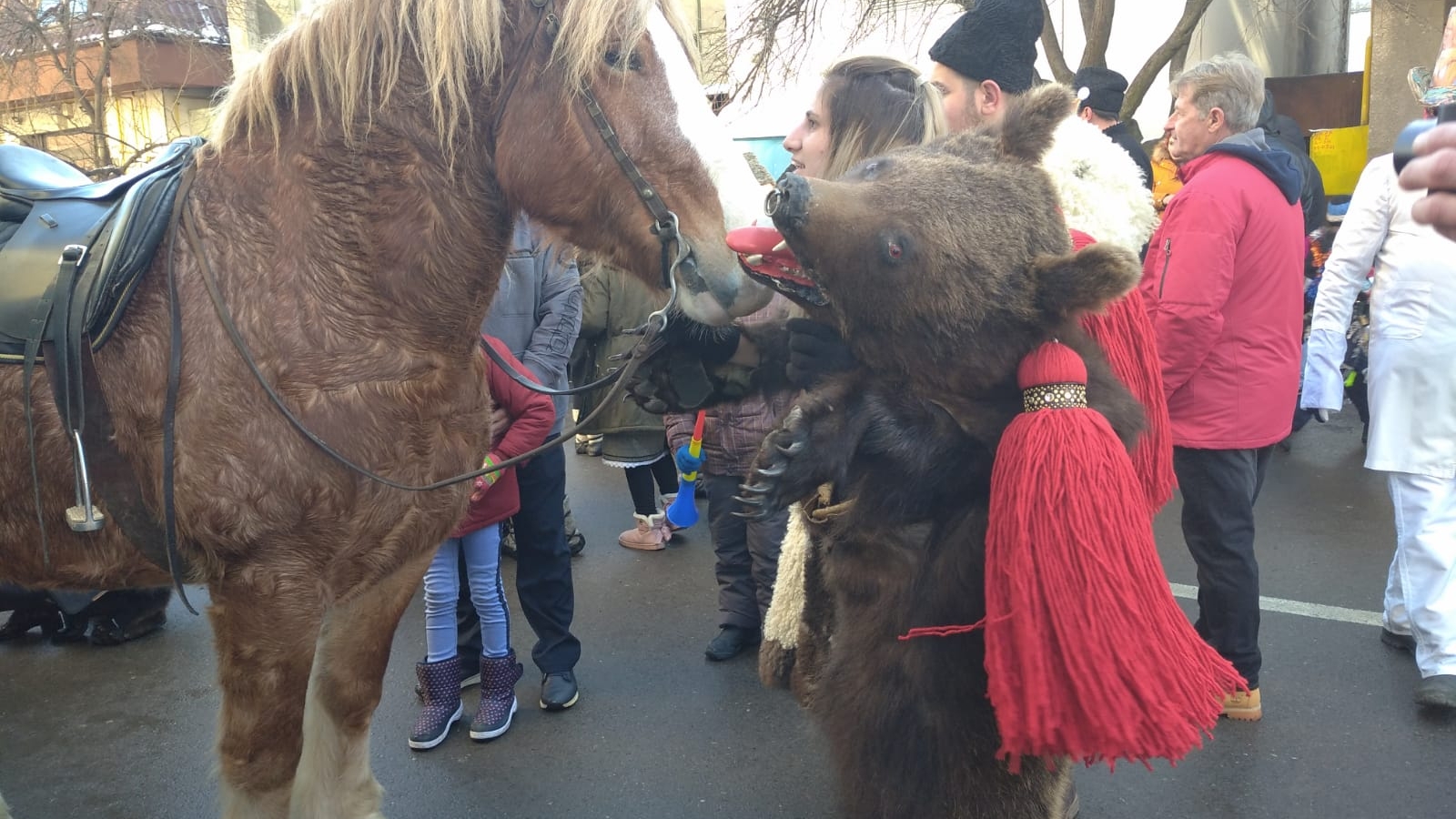 Ionuț Iftimoaie, în mijlocul ”urșilor” de la Comănești! GALERIE FOTO + VIDEO