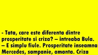 BANC | Bulă, criza și prosperitatea