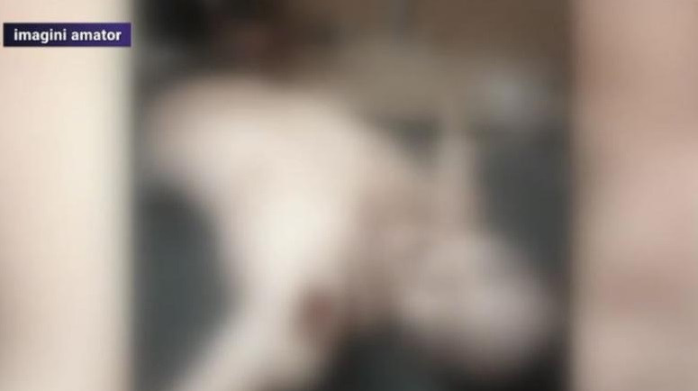 Crimă înfiorătoare în București! Un vietnamez a fost ucis cu sânge rece. Polițiștii sunt în alertă și îl caută pe suspect