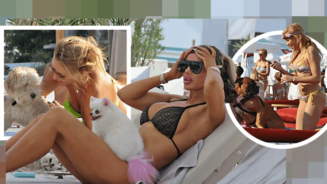 Top 25 vedete care și-au etalat costumele de baie, dar cățeii lor au făcut senzaţie! Delia, Bianca Drăgușanu sau Lora, eclipsate de patrupezi la malul mării