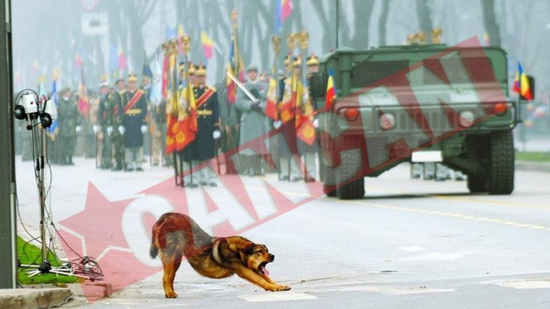 Ce plictiseala la parada militara!