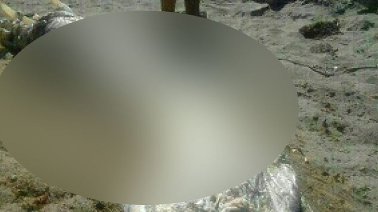 Creatura monstruoasa gasita pe o plaja din Spania. Barbatul a inlemnit cand a descoperit-o. "Parca e de pe alta lume"