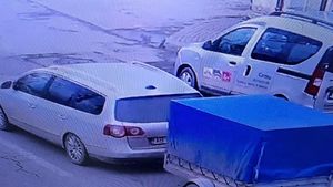 Intervenție de salvare neobișnuită a polițiștilor din Sebeș. Un porc evadat dintr-o remorcă, în trafic, a fost returnat stăpânului