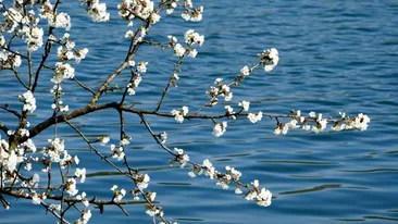 Prognoza meteo azi, 15 martie 2026: Sudul României, cea mai caldă regiune cu până la 14°C