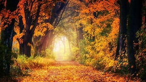 Prognoza meteo 20 septembrie: Maxime de 31 de grade!