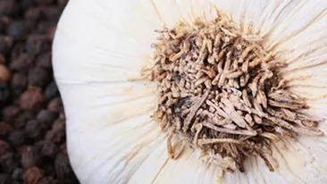 VIDEO Ultima delicatesa: dulceata de usturoi!