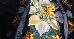 Galerie foto - poza 4