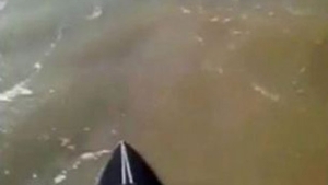 VIDEO O sa-ti dea lacrimile! Momentul emotionant cand un canotor extrem a salvat un catelus de la inec!