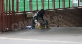 Galerie foto - poza 3