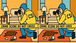Test de logică | În maximum 31 de secunde, identificați toate cele 3 diferențe între aceste două imagini!