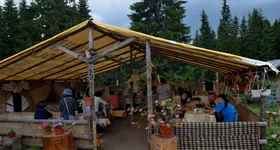 Galerie foto - poza 3