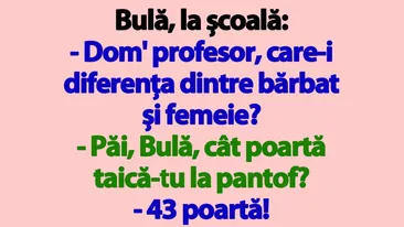 BANC | Bulă, la școală: Dom' profesor, care-i diferența dintre bărbat și femeie?