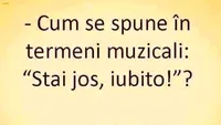 BANC | Cum se spune în termeni muzicali: Stai jos, iubito!?