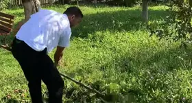 Galerie foto - poza 2