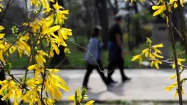 Meteo 30 mai. Nu iesi din casa pana nu afli cum va fi vremea sambata