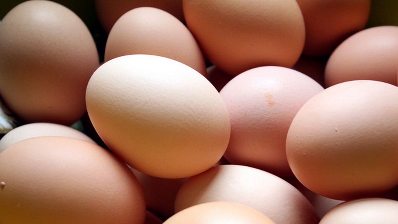 Nu o sa-ti vina sa crezi ce fel de ou a gasit in gospodaria sa! Barbatul nu s-a indurat sa-l gateasca!