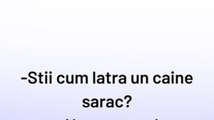 BANCUL ZILEI | Cum latră un câine sărac