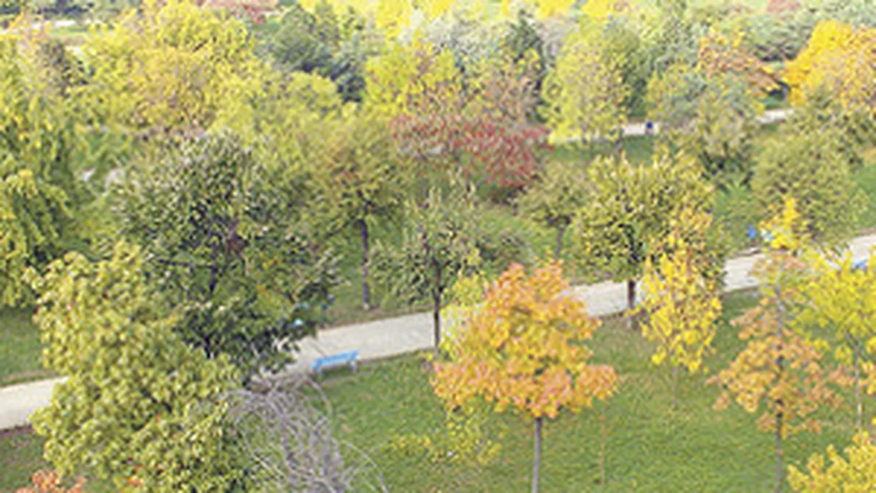 Si voi puteti salva Parcul Tineretului!