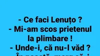 BANC | Cine este prietenul Lenuței, de fapt