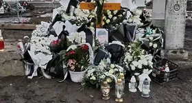 Galerie foto - poza 3