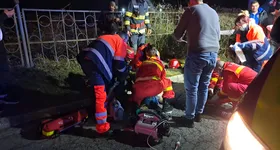 Galerie foto - poza 2