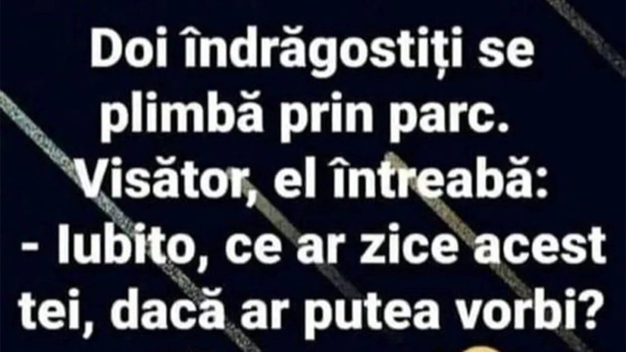 BANC | Iubito, ce ar zice acest tei dacă ar putea vorbi?