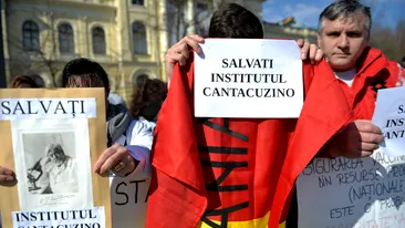 Stejarii cresc în secole. A fost odată Institutul Cantacuzino