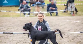 Galerie foto - poza 2