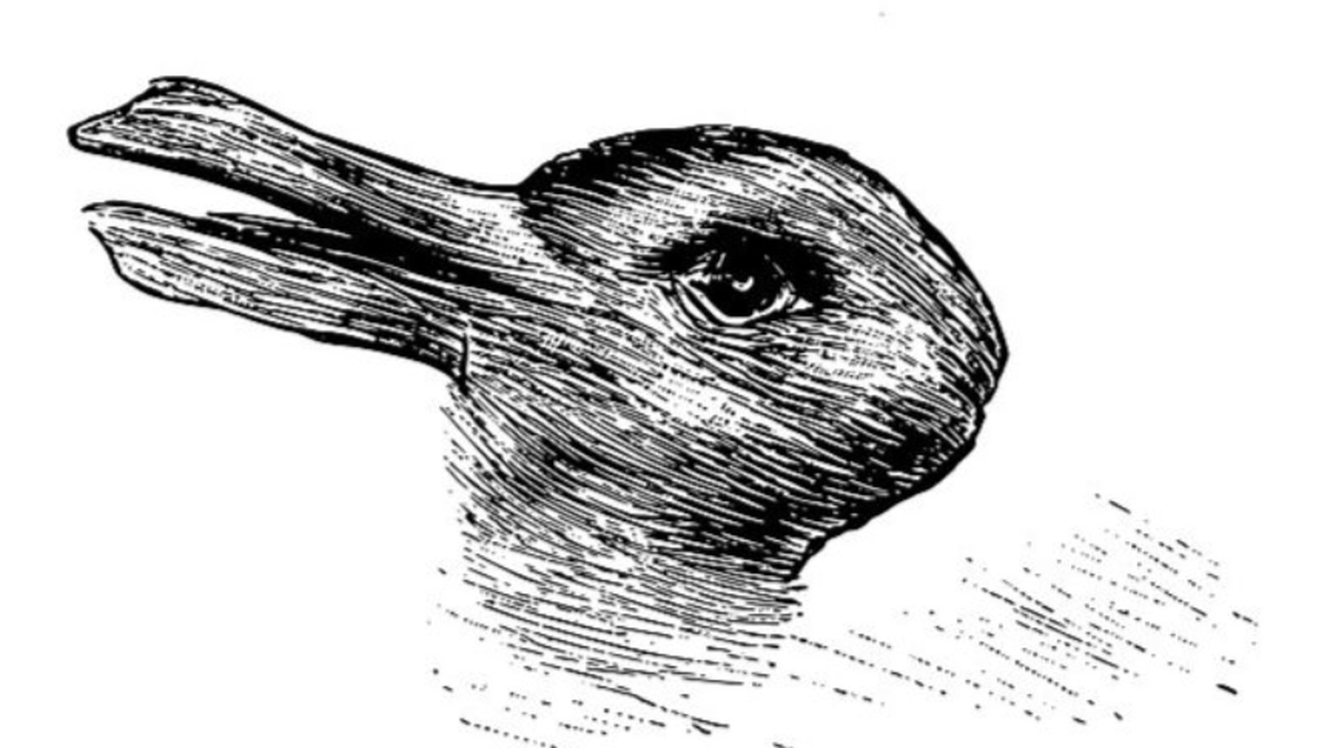 Această iluzie optică spune totul despre tine, în funcţie de cum o descifrezi. Ce animal vezi, de fapt, în imagine?