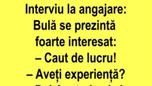 BANC | Bulă se prezintă la un interviu de angajare