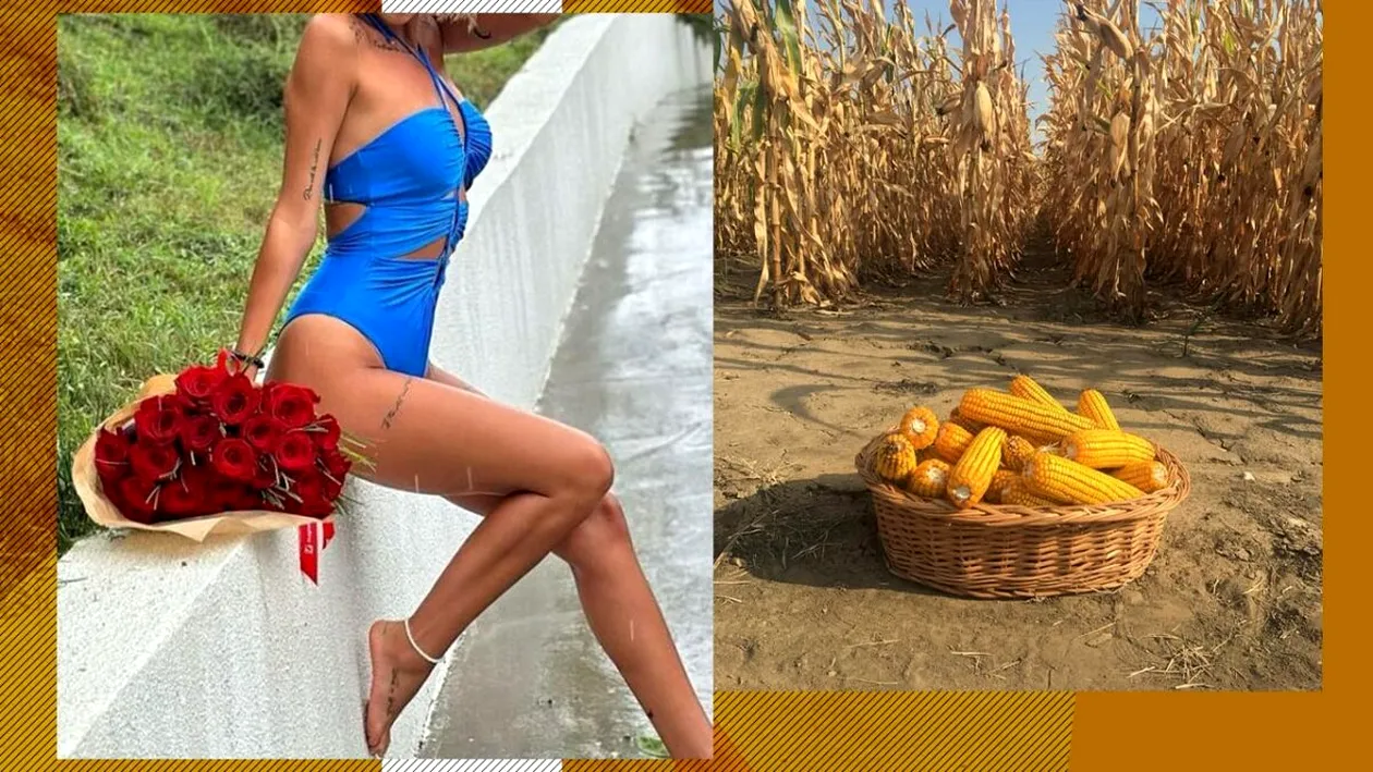 Vedeta din România care a muncit la cules de porumb. Le trimite și acum bani acasă părinților
